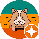 A profile picture